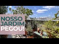 O JARDIM VIROU FLORESTA - COMO ORGANIZEI OS VASOS, DICAS PARA CUIDAR DAS PLANTAS E ADUBAÇÃO CORRETA