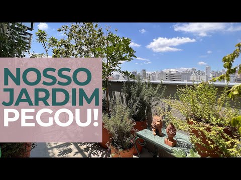 O JARDIM VIROU FLORESTA - COMO ORGANIZEI OS VASOS, DICAS PARA CUIDAR DAS PLANTAS E ADUBAÇÃO CORRETA