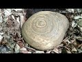 Шарообразные камни в Чеченской республики с.Элистанжи