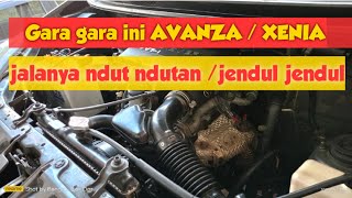 Penyebab Avanza Ndut Ndutan  Jendul Jendul otomotif toyota mekanik service
