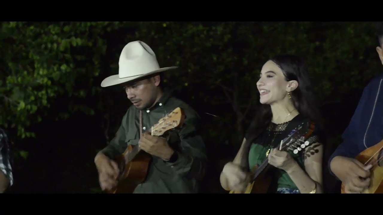 ✅ El Pájaro Cú - Casa Sotaventina 🇲🇽