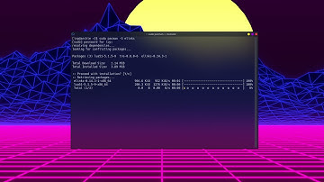 Linux Users Installing a Web Browser