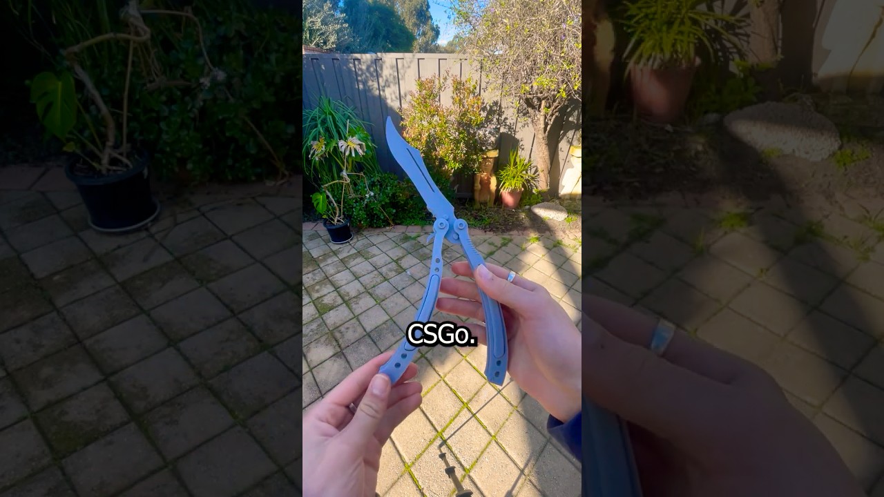 CSGO Butterfly Trainer Craft or Crap 
