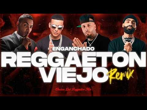 Éxitos de Reggaetón Intenso 2026 | Don Omar y Daddy Yankee | Clásicos del Reggaetón