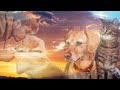 Do our pets go to heaven  nde compilation  near death