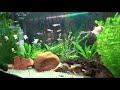 Мой аквариум Биодизайн РИФ 125