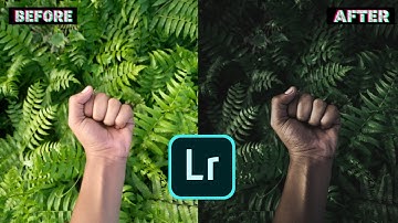 lightroom dark green moody editing tutorial ||  leaves editing ||  SOMNATH PHOTOGRAPHY AND EDIT