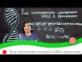 Роль генетического материала ДНК в хромосомах. 7 класс.