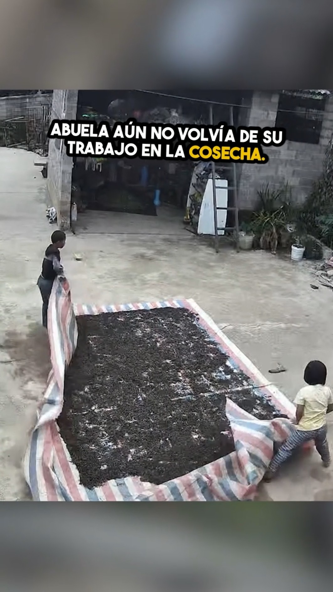 El sacrificio de unos hermanos que te emocionará ?✨