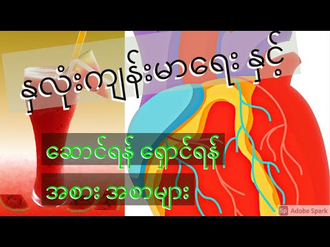 နှလုံးရောဂါ နှင့် ဆောင်ရန်ရှောင်ရန် အစားအစာများ၊ႏွလုံးေရာဂါ ႏွင့္ အစားအစာ။