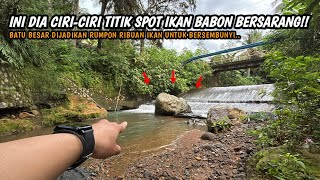 Download Lagu FINDING THE BEST SPOT ALL THE WAY TO YOGYAKARTA!! Fishing for wader using the kumbul technique in... MP3