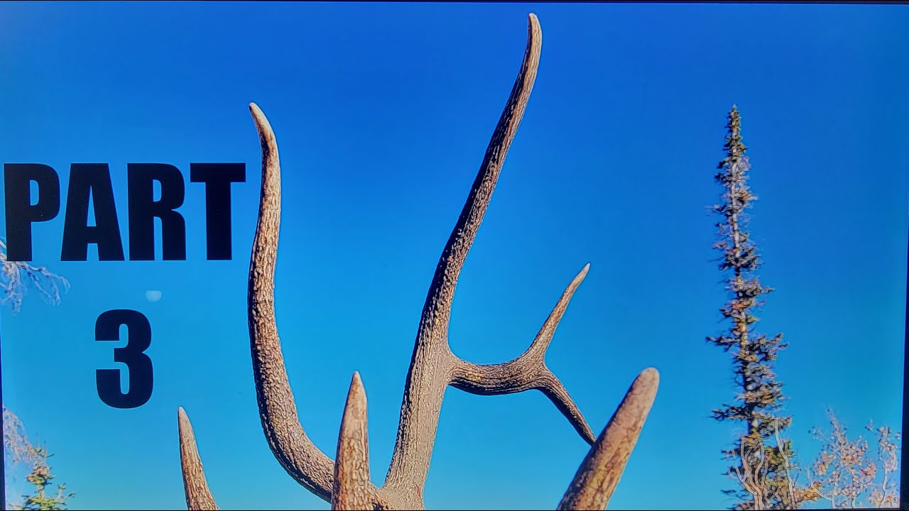 Utah Limited Entry Elk 2023 22yrs Part 3 YouTube utah-limited-entry-elk-2023-22yrs-part-3-youtube