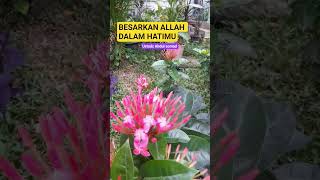 Magnify Allah In Your Heart zellozelia religion uas ustadzabdulsomad