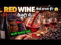 Red Wine कैसे बनता है? 😱 | Wine Manufacturing Process | Wine Factory Inside
