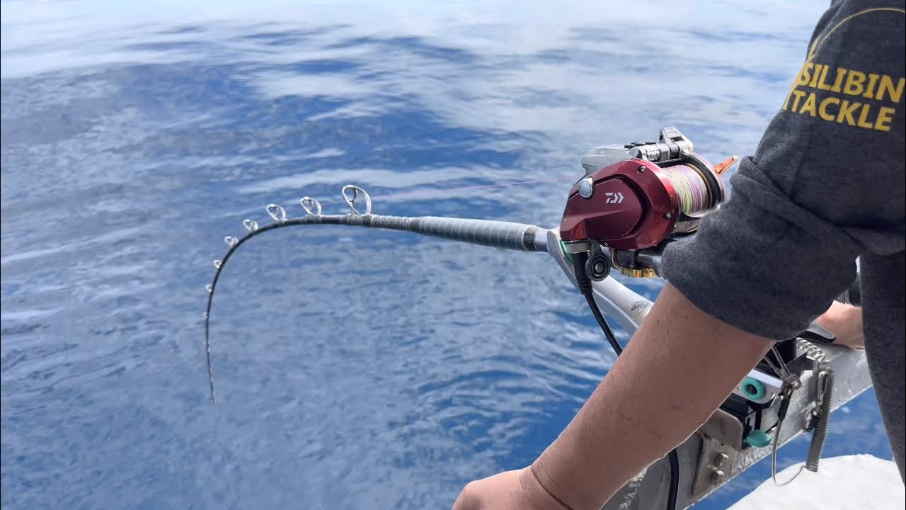 ALLIGATOR KAIYU STYLE BS2100SS pair with Daiwa Seaborg 800MJ tested Giant Grouper by Silibin Tackle