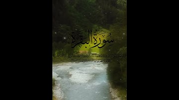 تلاوة خاشعة لآخر آيات الصفحة الثانية من سورة البقرة 📖✨
