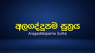 අලගද්දූපම සූත්‍රය - Alagaddūpama Sutta |පාලි භාෂාවෙන් පමණක් ඉදිරිපත් කරන පිරිසිදු බුද්ධ දේශනා (36)