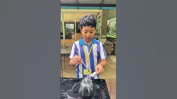 #ค่ายวิทยาศาสตร์ #saptaicamp #ซับใต้แคมป์