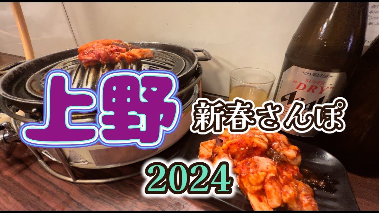 【上野かつさんぽ】「ほていちゃん」「上野デリー」「とらじ亭」「大統領支店」  from Ueno in JAPAN