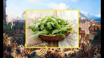 Arugula: History and Top Season