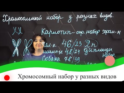 Хромосомный набор у разных видов. 7 класс.