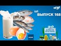 Как выбрать продукты для продления молодости | «ПОЛЕЗНАЯ ПРОГРАММА». Выпуск 168 — 02.03.21