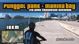 16KM Punggol Park to Marina Bay via PCN (Park Connector Network) | Cycling Singapore