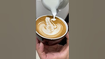 Latte art swan 🦢 #subscribe #coffeeart #coffeelatteart #swan #swans #baristalife #barista #coffee #