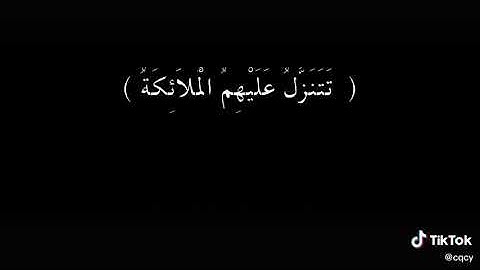اكتب شيء تؤجر عليه 🤍🦋|القارئ الشيخ علي جابر