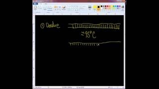 Famous Lecture 21 PCR Fall 2016 Wealth