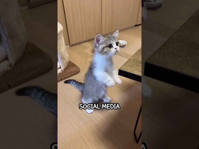 관심 쪼끔만 더 주실래요?