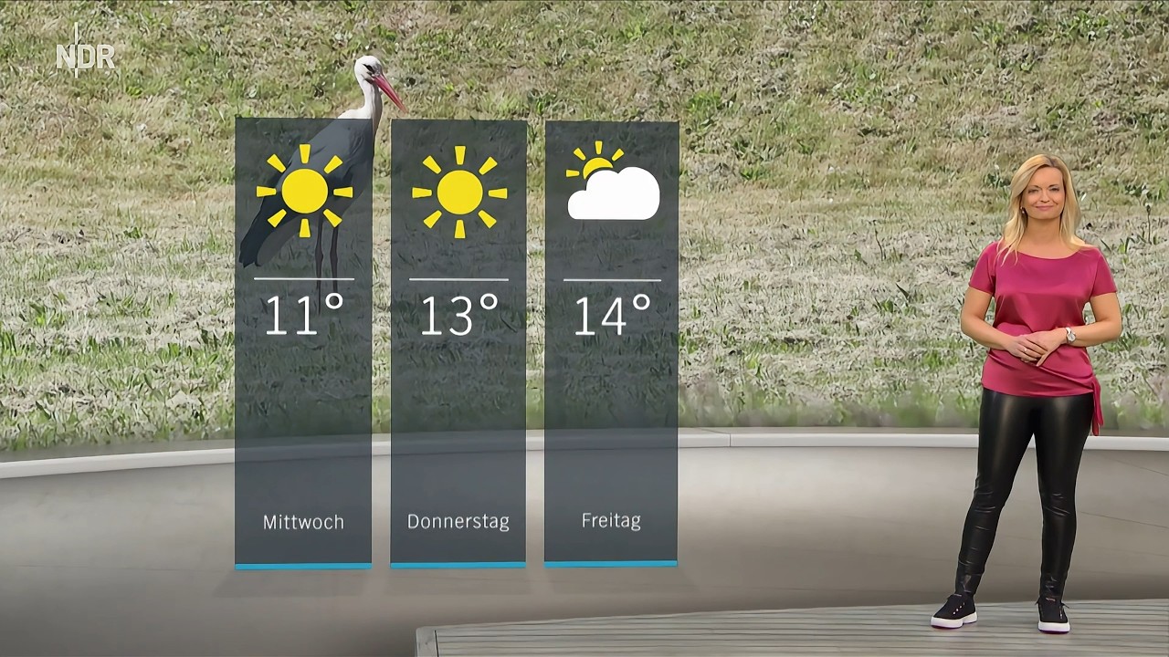 Maike Jäger Schleswig-Holstein Wetter 02.03.2026  #tvgucker #shorts