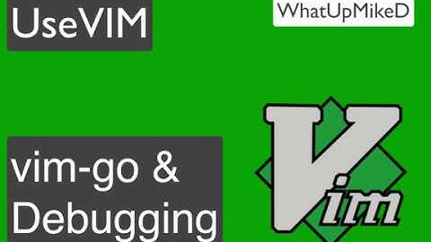 USE VIM: vim-go & Debugging
