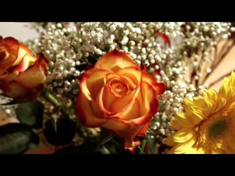 РОЗЫ С МОЛОДОГО САДА АВФ 