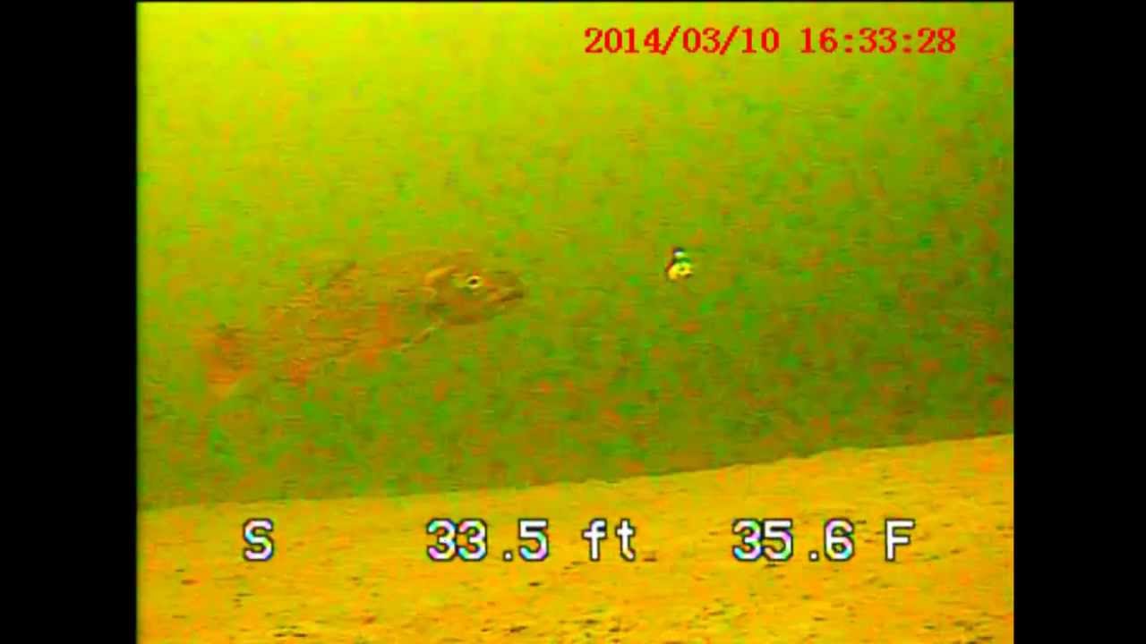 Ice Fishing at Strawberry with Underwater Camera YouTube