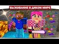 ч.14 Броня из конфет и радужная руда!! - Выживание в диком мире (Lp.Minecraft)