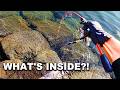 Catch & Cook: Dropping Stinky Supermarket Squid into a Hole for Rockfish!