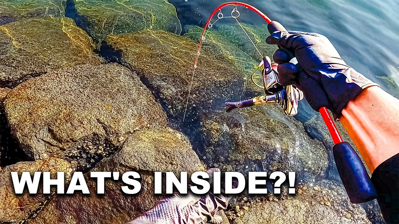 Catch & Cook: Dropping Stinky Supermarket Squid into a Hole for Rockfish!