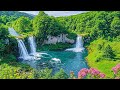 شفاء الطبيعة بالصوت 🍃 عالج روحك، توقف عن التفكير الزائد، وخفف القلق | مساحة راحة الروح