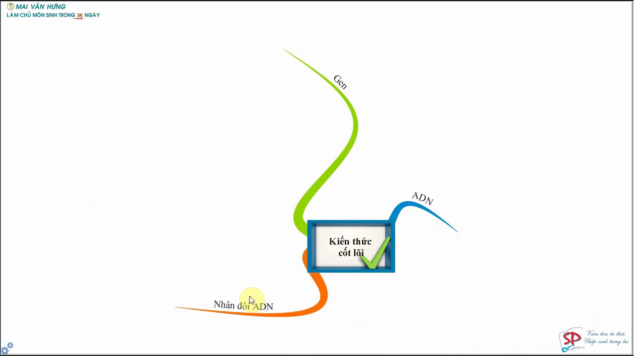 Sinh học 12 cơ bản | SINH HỌC 12 BÀI 1: KIẾN THỨC CƠ BẢN VỀ ADN – GEN VÀ QUÁ TRÌNH NHÂN ĐÔI ADN