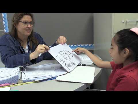 Extended Year Summer Reading Program | 2026