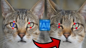 The end of Photoshop?: dragGan AI photo editor