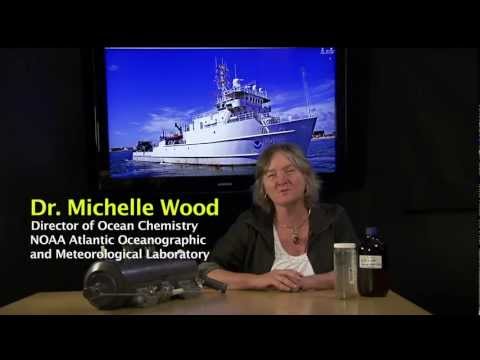 NOAA's Response to Oil Spills - Dr. Michelle Wood