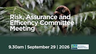Risk, Assurance and Efficiency Committee – 29 September 2026