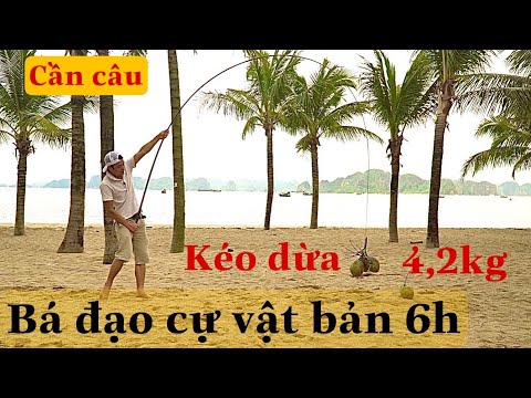Video cần câu bá đạo cự vật bản 6h chính hãng lh 0911780368 - youtube