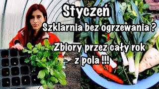 Czy da się uprawiać warzywa na POLU i w SZKLARNI zimą❄️ ☃️ 🌱❓Styczeń❗️Czy to możliwe❓ 🥕🌶🥦