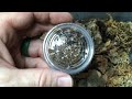 Unboxing from TopNotchIsopods.com