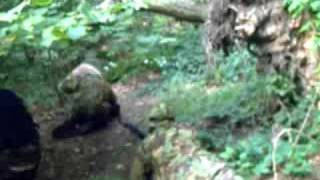 Aaron Roper At Airsoft
