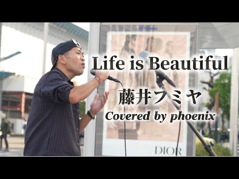 Life is Beautiful/藤井フミヤ Covered by phoenix - YouTube