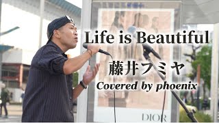 Life is Beautiful/藤井フミヤ Covered by phoenix - YouTube